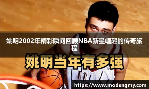 姚明2002年精彩瞬间回顾NBA新星崛起的传奇旅程