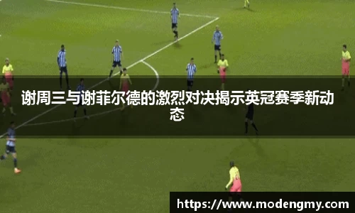 谢周三与谢菲尔德的激烈对决揭示英冠赛季新动态