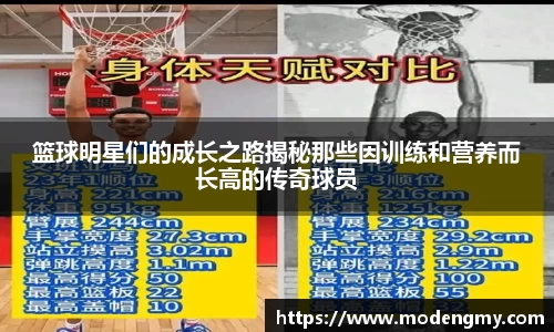 摩根体育娱乐